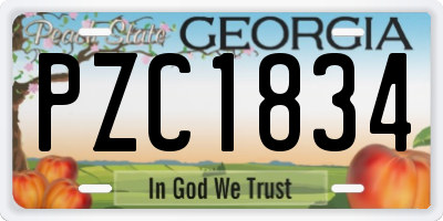 GA license plate PZC1834
