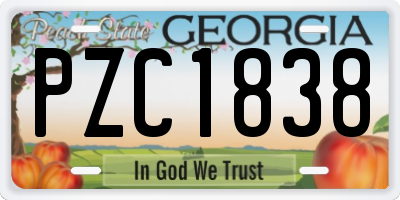 GA license plate PZC1838