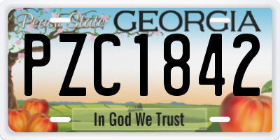 GA license plate PZC1842