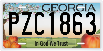 GA license plate PZC1863