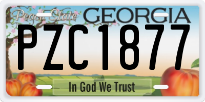 GA license plate PZC1877