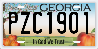 GA license plate PZC1901