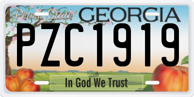 GA license plate PZC1919