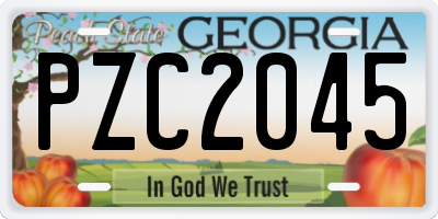 GA license plate PZC2045