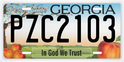 GA license plate PZC2103