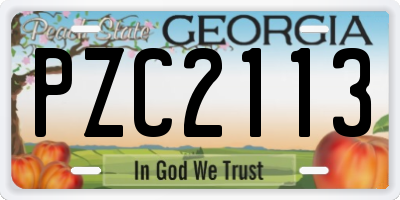GA license plate PZC2113