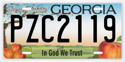 GA license plate PZC2119