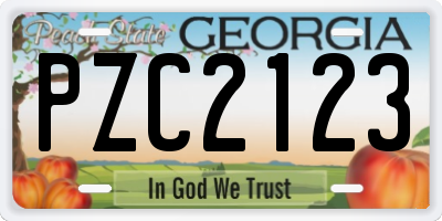 GA license plate PZC2123