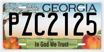 GA license plate PZC2125