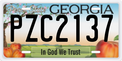 GA license plate PZC2137