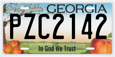 GA license plate PZC2142