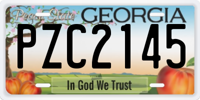 GA license plate PZC2145