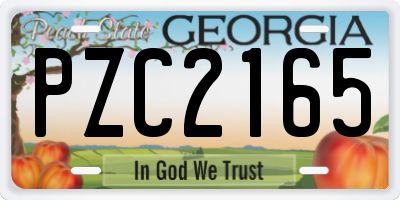 GA license plate PZC2165