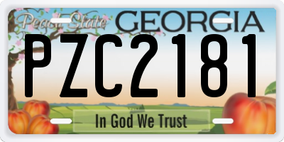 GA license plate PZC2181