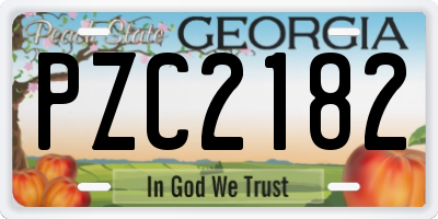 GA license plate PZC2182