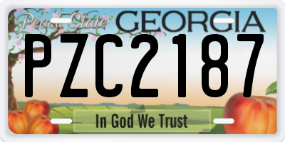 GA license plate PZC2187
