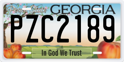 GA license plate PZC2189