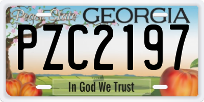 GA license plate PZC2197