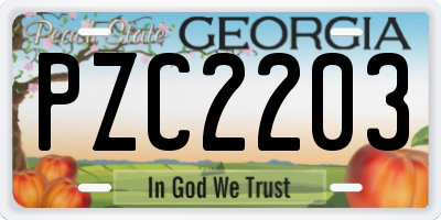 GA license plate PZC2203