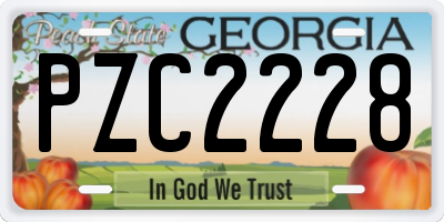 GA license plate PZC2228