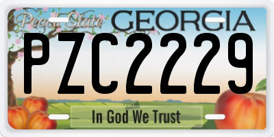 GA license plate PZC2229