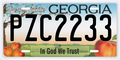 GA license plate PZC2233