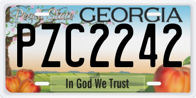GA license plate PZC2242