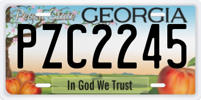 GA license plate PZC2245