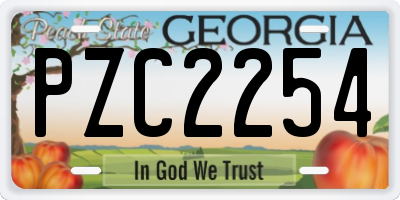 GA license plate PZC2254