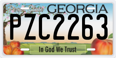 GA license plate PZC2263
