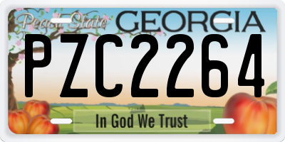 GA license plate PZC2264
