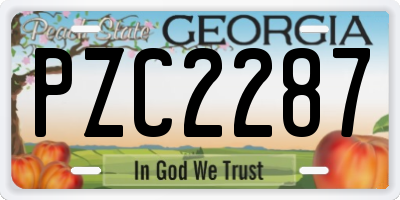 GA license plate PZC2287
