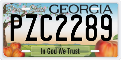 GA license plate PZC2289