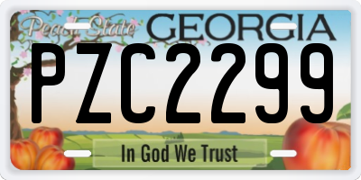 GA license plate PZC2299