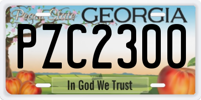 GA license plate PZC2300