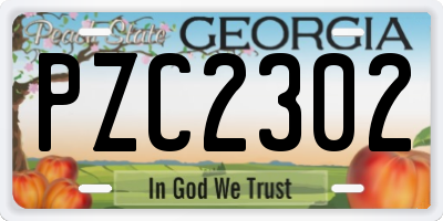 GA license plate PZC2302