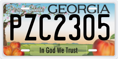 GA license plate PZC2305