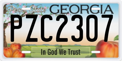 GA license plate PZC2307