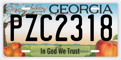 GA license plate PZC2318