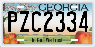 GA license plate PZC2334