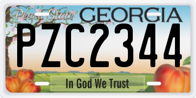 GA license plate PZC2344
