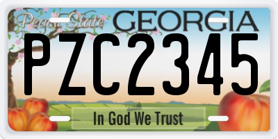 GA license plate PZC2345