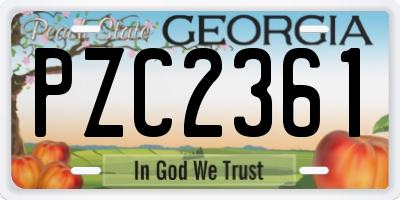GA license plate PZC2361