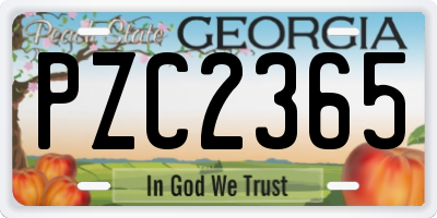 GA license plate PZC2365
