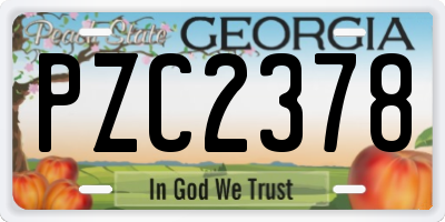 GA license plate PZC2378
