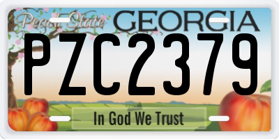 GA license plate PZC2379