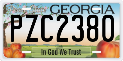 GA license plate PZC2380