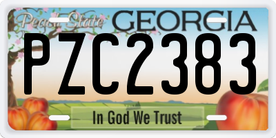 GA license plate PZC2383