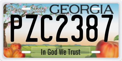 GA license plate PZC2387
