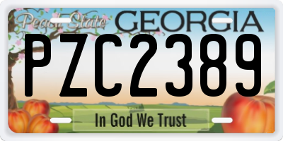 GA license plate PZC2389